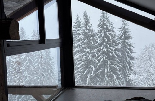 La Cote-d'Arbroz Ski Chalet | The Monkey Barn Morzine. Your very own stylish luxury alpine chalet retreat.