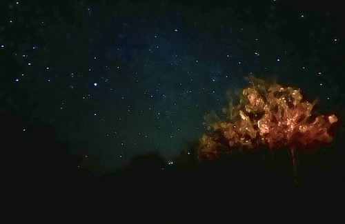 Liberia House | The Monkey House is perfect for family and friends