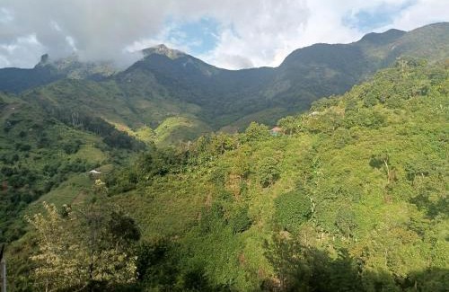 Morogoro Other | The Mountain Goat