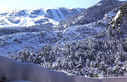 Thorenc Apartment | THE MOUNTAIN, THAT YOU WIN! F2 DUPLEX, 4 people, 37 m², in THORENC/ANDON (06).