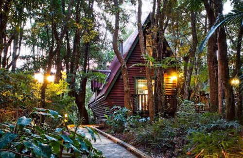 Springbrook Cabin | The Mouses House Rainforest Retreat