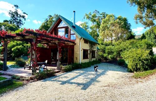 Alexandra Villa | The Muddy
