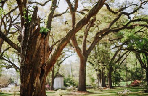 St. Francisville Bed & Breakfast | The Myrtles