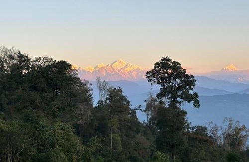 Rishop House | The Nature Homestay