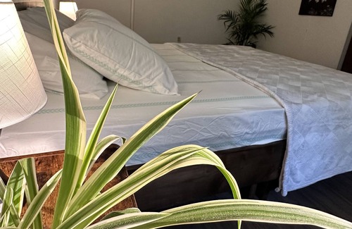 Bancroft Apartment | The nature’s retreat in Bancroft