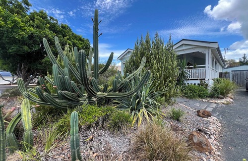 Toogoom House | The Nest. beach and lakeside, for bird twitchers, nature and astronomy lovers!