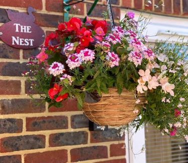 Winterborne Kingston Apartment | The Nest Kingston