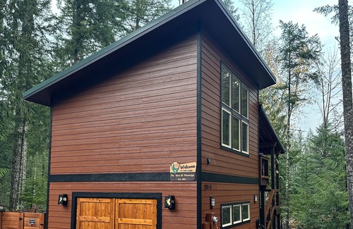 Packwood Cabin | The Nest @ Pine Lodge - outdoor sauna & cold plunge tub, EV chrg, pets, AC