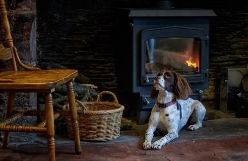 Long Barn Hotel | The New Inn Halse