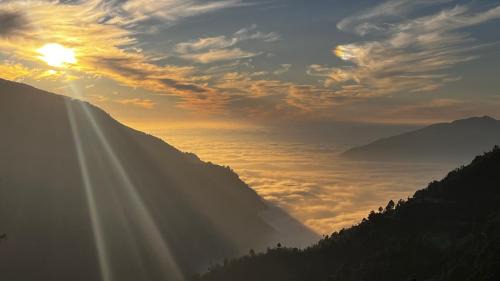 Sigri Village Resort | The Nirvana Stays