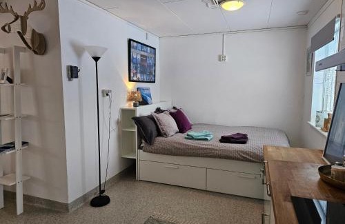 Jukkasjarvi House | The Northern Light Apartment