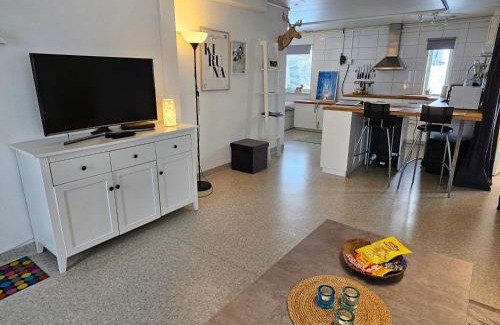 Jukkasjarvi House | The Northern Light Apartment