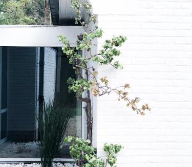 Wavre House | The Oak