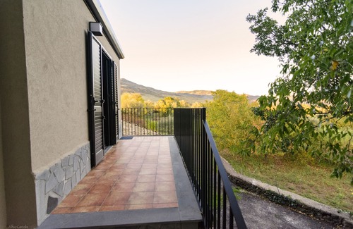 Randazzo House | The oak house