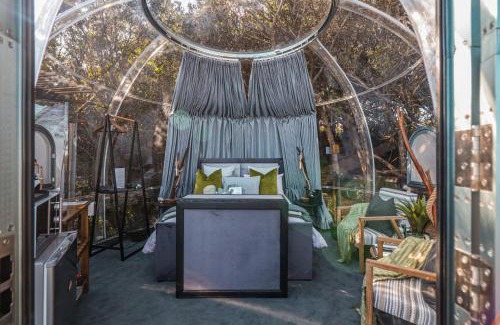 Storms River Other | The Ocean Dome - Misty Mountain Reserve