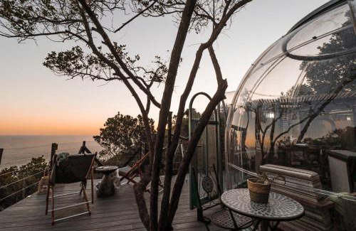 Storms River Other | The Ocean Dome - Misty Mountain Reserve