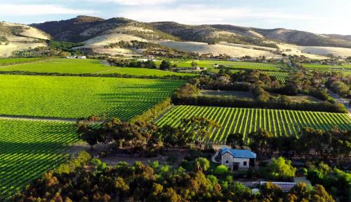 Sellicks Hill Bed & Breakfast | The Old Chaff Mill Organic Vineyard Retreat
