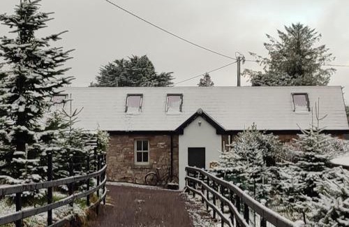 Tralee House | The Old House at Belfield