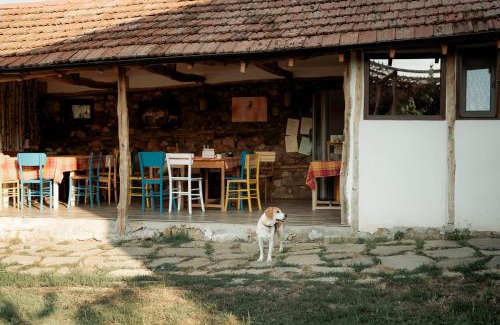 Madzharovo House | The Old Nest