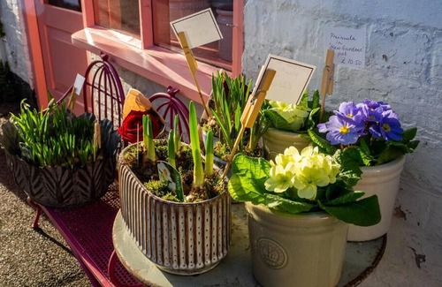 Linton House | The Old Reading Rooms Linton