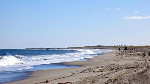 Musgrave Harbour House | The Old Salt Box Co. - Aunt Donna's
