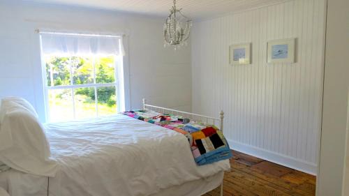 Salt Harbour House | The Old Salt Box Co. - Evelyn's Place