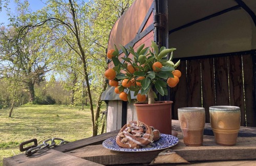 Newcastle Emlyn Cottage | The Old Stables, Aberporth