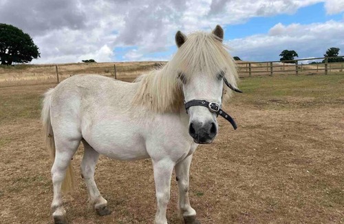 Salisbury House | The Old Stables