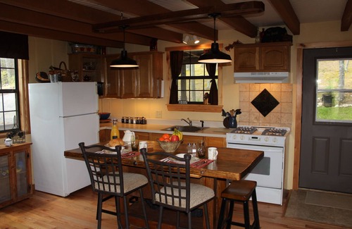 Tellico Plains Cabin | The Ole Bear Rustic Mountain Cabin