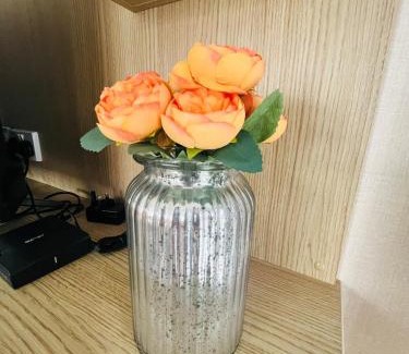 Allerthorpe House | The Ole Smithy Lodge