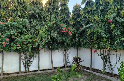 Sirmour House | The Olive Greens