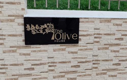 Dhikella Apartment | The Olive House