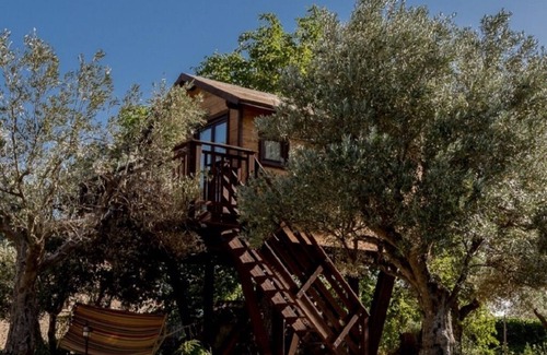 Marano Marchesato House | The "Olive Treehouse"