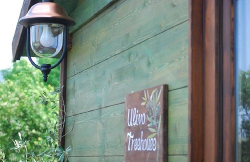 Marano Marchesato House | The "Olive Treehouse"