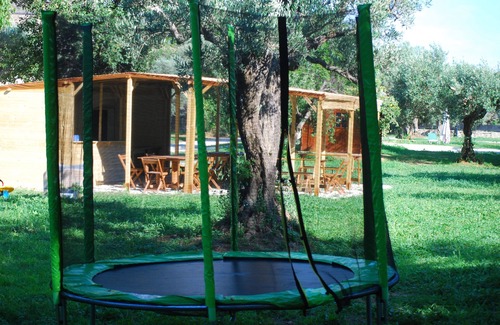 Marano Marchesato House | The "Olive Treehouse"