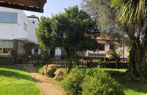 Vila Verde House | The Olive Tree Country Home