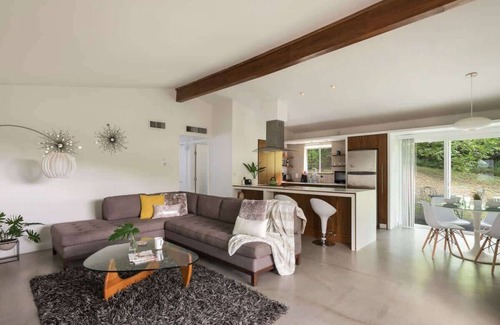 South River City House | The Olive You | SoCo Mid-Century | Fenced Yard