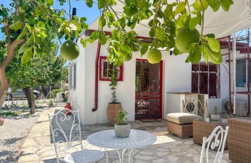 Kalavasos Apartment | The OliveOrange Grove House!