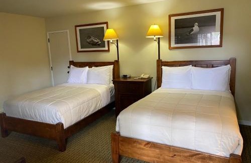 Pacific Grove Cabin | The Olympia Lodge