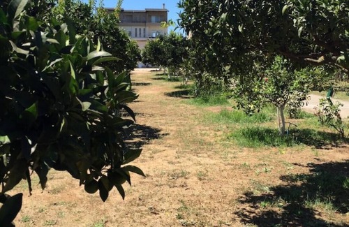 Mytikas Apartment | The Orange Grove Garden Room