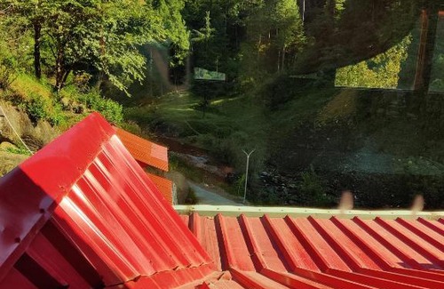 Rajgarh Bed & Breakfast | The Orchard