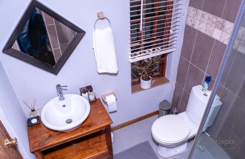 Camperdown Bed & Breakfast | The Owl House
