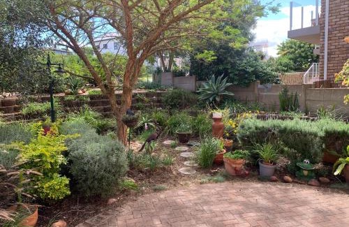 Still Bay Apartment | The Owl House