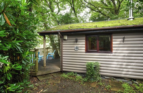Machynlleth Cottage | The Owl's Nest - UK50546