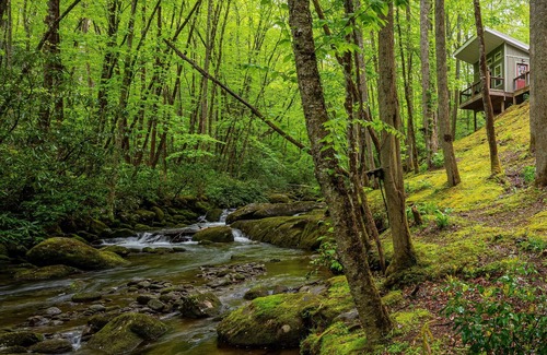 Robbinsville Cabin | The Owl's Perch- Backwoods glamping cabin over amazing creek