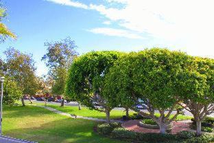 Old Towne Hotel | The Pacific Inn