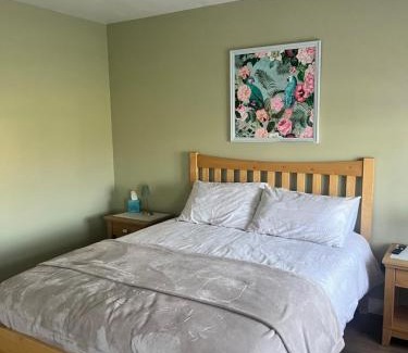 Dundalk House | The Paddocks in Louth