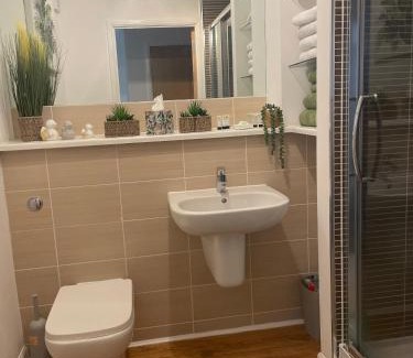 Paisley Apartment | THE PAISLEY PENTHOUSE - ABBEY VIEW