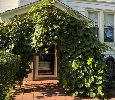 Downtown Buffalo Apartment | The Paradise House steps from the Heart of Hertel