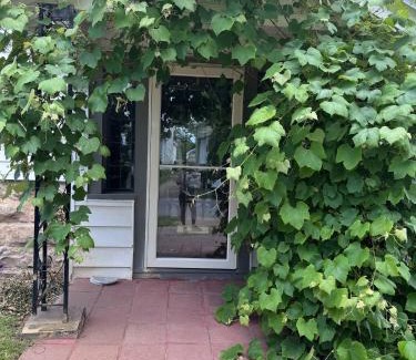 Downtown Buffalo Apartment | The Paradise House steps from the Heart of Hertel